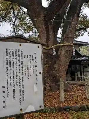 鳴海八幡宮の{uncategorized: "未分類", other: "その他", undefined: "問題あり", building: "その他建物", grave: "お墓", sacred_gate: "鳥居", guardian: "狛犬", statue: "像", buddha: "仏像", history: "歴史", nature: "自然", garden: "庭園", animal: "動物", pagoda: "塔", temizu: "手水舎", mountain_gate: "山門・神門", sanctuary: "本殿・本堂", subordinate: "末社・摂社", art: "芸術", scenery: "景色", jizo: "地蔵", ema: "絵馬", goshuin: "御朱印", omikuji: "おみくじ", items: "授与品その他", amulet: "お守り", goshuincho: "御朱印帳", eats: "食事", festival: "お祭り", votive_dance: "神楽", shichigosan: "七五三参", wedding: "結婚式", experience: "体験その他", initially: "初詣", around: "周辺", anti_infection: "感染症対策"}