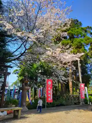 串間神社の御朱印