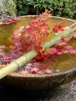 圓光寺(京都府)