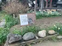 般若寺 ❁﻿コスモス寺❁(奈良県)