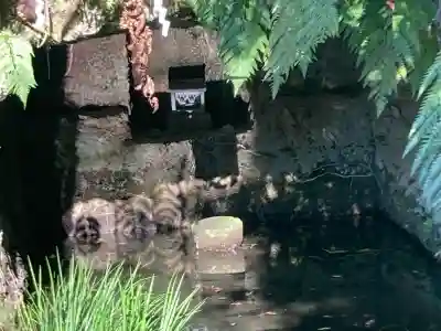杉本寺(神奈川県)