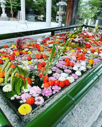 住吉神社の手水舎
