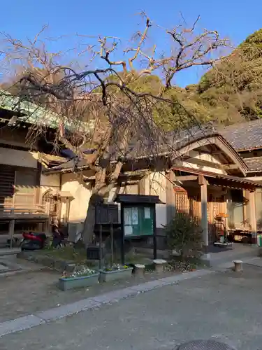 法勝寺(神奈川県)