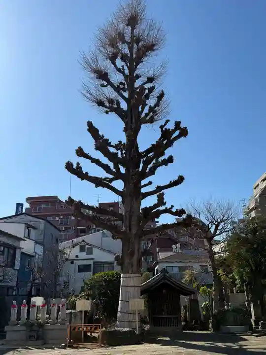 福王山 慈眼寺(東京都)