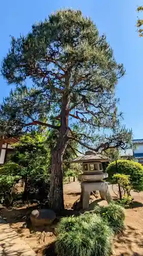 醫王山神宮寺の庭園