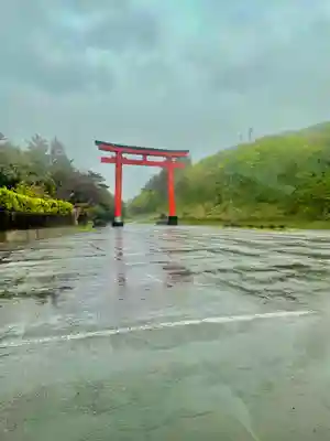 高山稲荷神社の鳥居