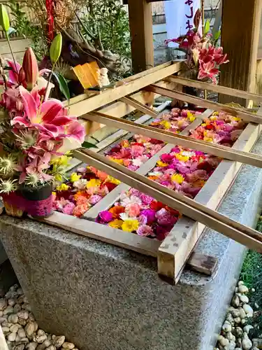 東京大神宮(東京都)