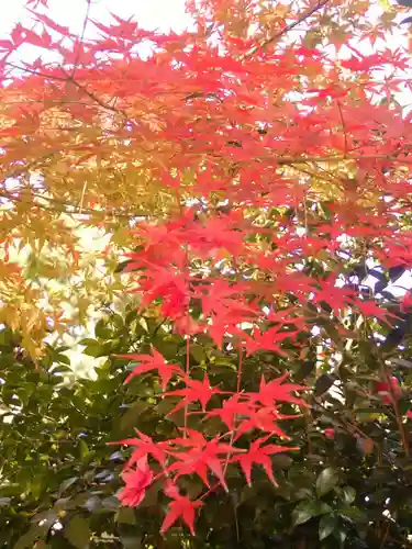 戸部杉山神社(神奈川県)