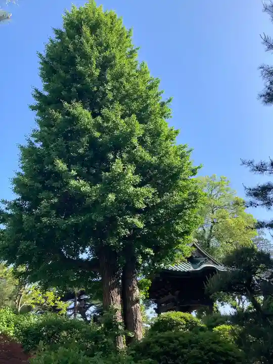 三寳寺(東京都)