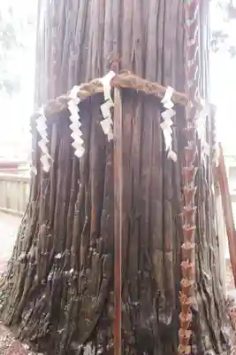 鼬幣稲荷神社のその他建物