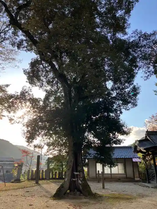 廣瀬神社の自然
