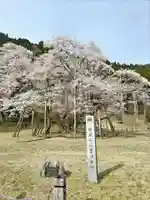 淡墨観音(岐阜県)