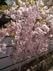 金剛寺(大阪府)