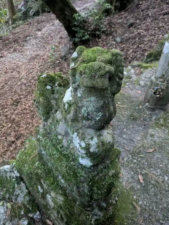 地主神社(桑の川の鳥居杉)(高知県)