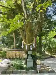 武田神社の庭園