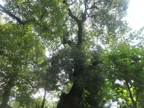 昌光律寺(愛知県)