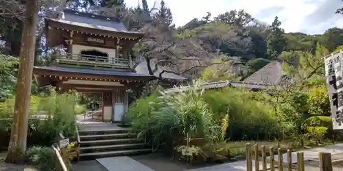 浄智寺(神奈川県)