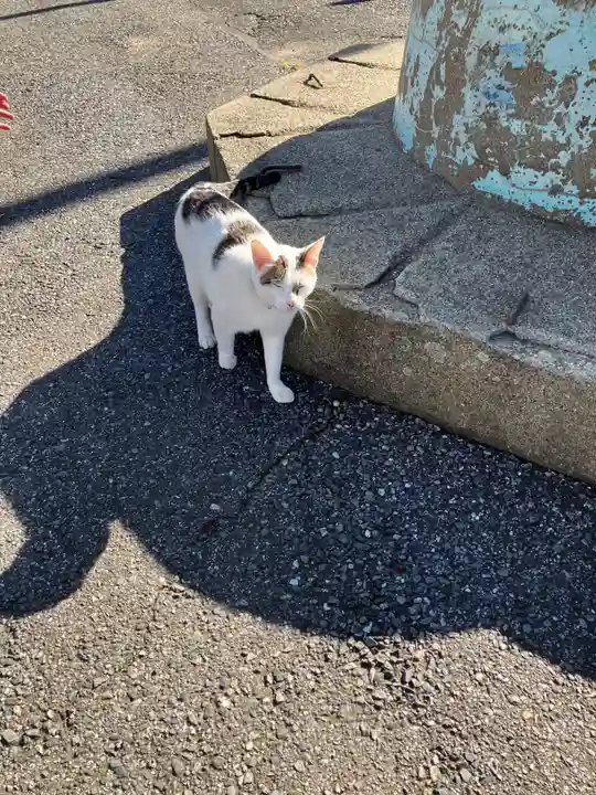 金刀比羅宮(千葉県)