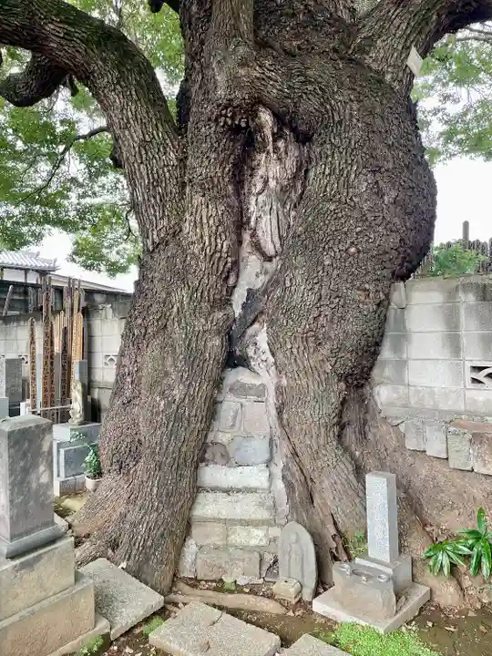 感應寺(東京都)