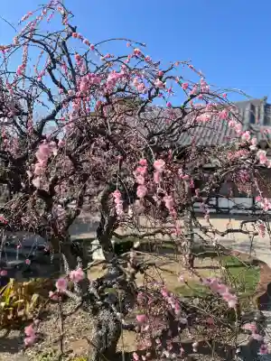 比佐豆知神社の{uncategorized: "未分類", other: "その他", undefined: "問題あり", building: "その他建物", grave: "お墓", sacred_gate: "鳥居", guardian: "狛犬", statue: "像", buddha: "仏像", history: "歴史", nature: "自然", garden: "庭園", animal: "動物", pagoda: "塔", temizu: "手水舎", mountain_gate: "山門・神門", sanctuary: "本殿・本堂", subordinate: "末社・摂社", art: "芸術", scenery: "景色", jizo: "地蔵", ema: "絵馬", goshuin: "御朱印", omikuji: "おみくじ", items: "授与品その他", amulet: "お守り", goshuincho: "御朱印帳", eats: "食事", festival: "お祭り", votive_dance: "神楽", shichigosan: "七五三参", wedding: "結婚式", experience: "体験その他", initially: "初詣", around: "周辺", anti_infection: "感染症対策"}