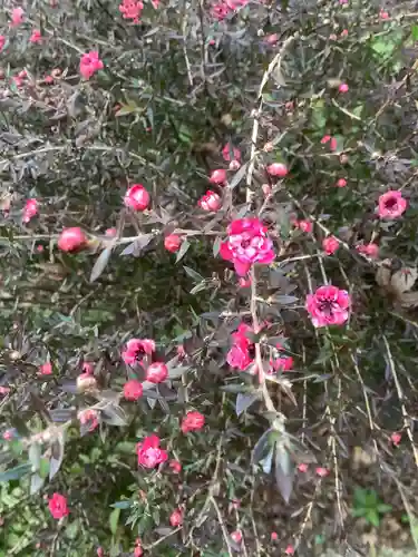 八事山 興正寺の庭園