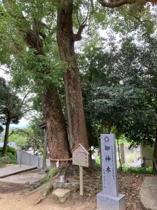 飯岡神社の自然