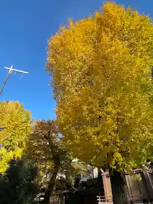諏訪神社(東京都)