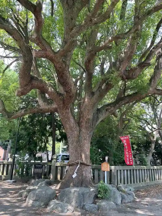 平塚三嶋神社(神奈川県)