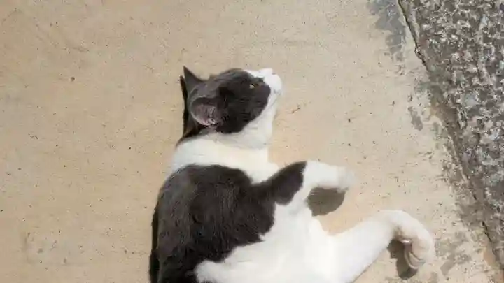 常谷寺(奈良県)