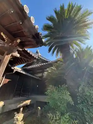 蓮花寺(兵庫県)