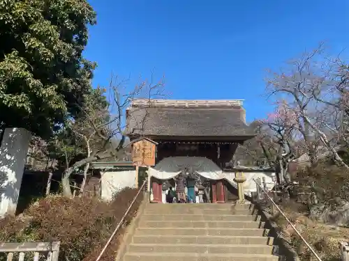 深大寺の{uncategorized: "未分類", other: "その他", undefined: "問題あり", building: "その他建物", grave: "お墓", sacred_gate: "鳥居", guardian: "狛犬", statue: "像", buddha: "仏像", history: "歴史", nature: "自然", garden: "庭園", animal: "動物", pagoda: "塔", temizu: "手水舎", mountain_gate: "山門・神門", sanctuary: "本殿・本堂", subordinate: "末社・摂社", art: "芸術", scenery: "景色", jizo: "地蔵", ema: "絵馬", goshuin: "御朱印", omikuji: "おみくじ", items: "授与品その他", amulet: "お守り", goshuincho: "御朱印帳", eats: "食事", festival: "お祭り", votive_dance: "神楽", shichigosan: "七五三参", wedding: "結婚式", experience: "体験その他", initially: "初詣", around: "周辺", anti_infection: "感染症対策"}