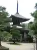 智恩寺の塔