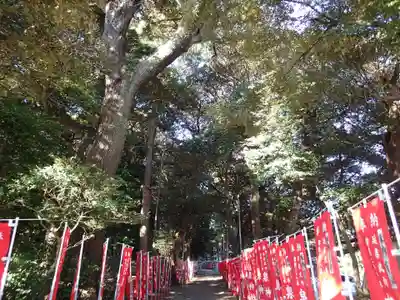 泉神社のその他建物