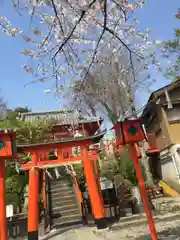 塚越稲荷神社の鳥居