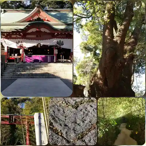 來宮神社(静岡県)