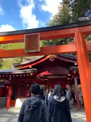 九頭龍神社新宮(神奈川県)