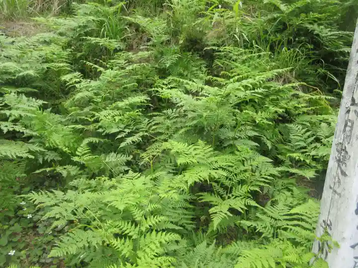 陽向寺(埼玉県)