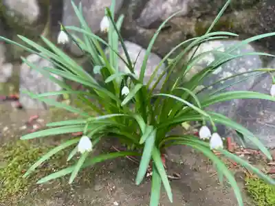 西方山極楽寺(岐阜県)
