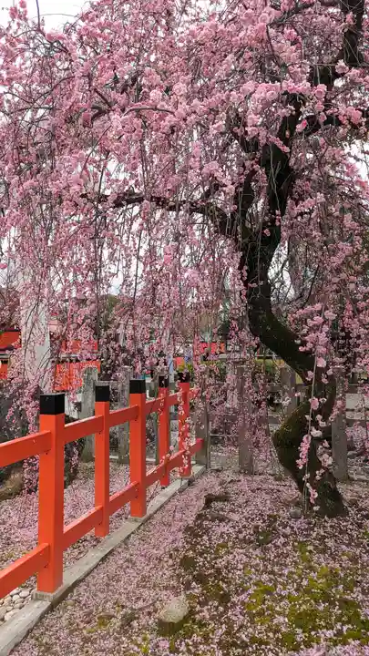 車折神社(京都府)