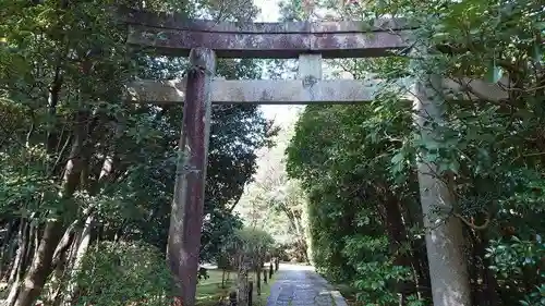 金地院の鳥居