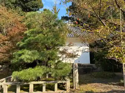 光明寺（粟生光明寺）(京都府)