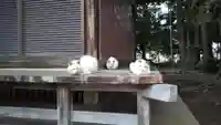 八幡神社の動物
