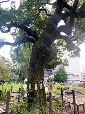 橿森神社(岐阜県)