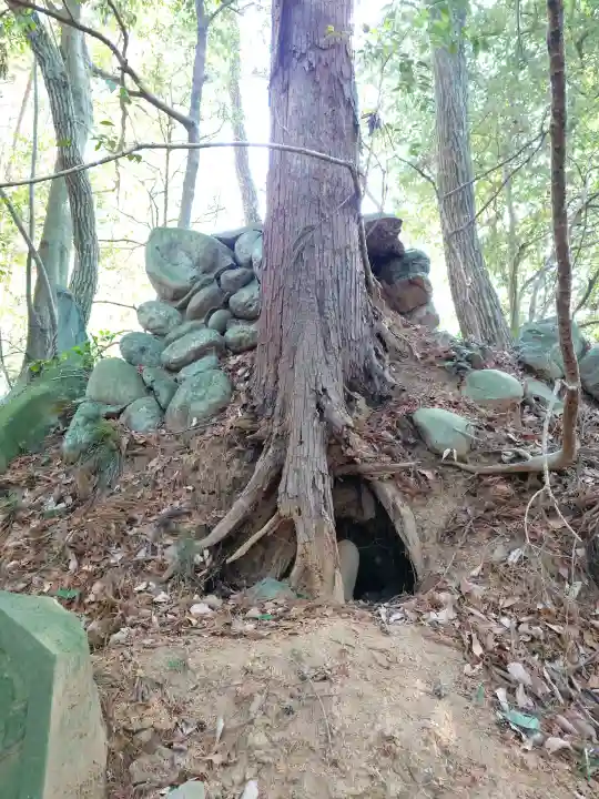 淡洲神社(山田)の{uncategorized: "未分類", other: "その他", undefined: "問題あり", building: "その他建物", grave: "お墓", sacred_gate: "鳥居", guardian: "狛犬", statue: "像", buddha: "仏像", history: "歴史", nature: "自然", garden: "庭園", animal: "動物", pagoda: "塔", temizu: "手水舎", mountain_gate: "山門・神門", sanctuary: "本殿・本堂", subordinate: "末社・摂社", art: "芸術", scenery: "景色", jizo: "地蔵", ema: "絵馬", goshuin: "御朱印", omikuji: "おみくじ", items: "授与品その他", amulet: "お守り", goshuincho: "御朱印帳", eats: "食事", festival: "お祭り", votive_dance: "神楽", shichigosan: "七五三参", wedding: "結婚式", experience: "体験その他", initially: "初詣", around: "周辺", anti_infection: "感染症対策"}