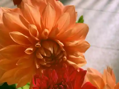 滑川神社 - 仕事と子どもの守り神(福島県)