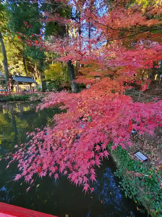 間々田八幡宮(栃木県)