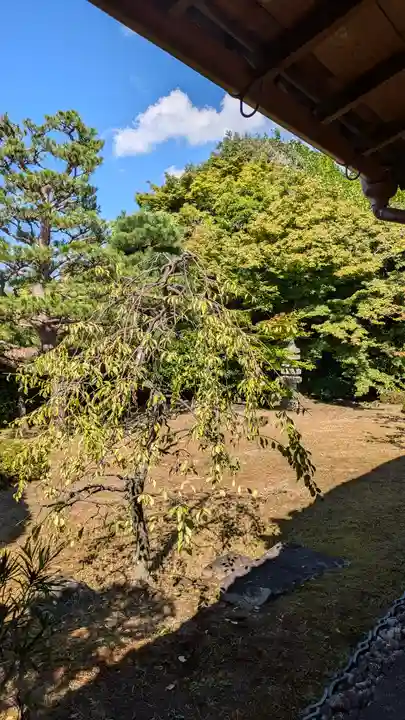 清凉院(京都府)