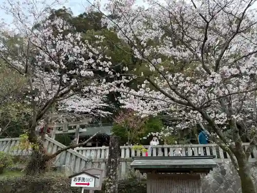 太宰府天満宮の{uncategorized: "未分類", other: "その他", undefined: "問題あり", building: "その他建物", grave: "お墓", sacred_gate: "鳥居", guardian: "狛犬", statue: "像", buddha: "仏像", history: "歴史", nature: "自然", garden: "庭園", animal: "動物", pagoda: "塔", temizu: "手水舎", mountain_gate: "山門・神門", sanctuary: "本殿・本堂", subordinate: "末社・摂社", art: "芸術", scenery: "景色", jizo: "地蔵", ema: "絵馬", goshuin: "御朱印", omikuji: "おみくじ", items: "授与品その他", amulet: "お守り", goshuincho: "御朱印帳", eats: "食事", festival: "お祭り", votive_dance: "神楽", shichigosan: "七五三参", wedding: "結婚式", experience: "体験その他", initially: "初詣", around: "周辺", anti_infection: "感染症対策"}