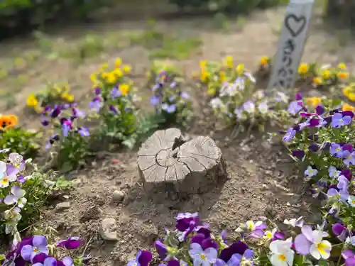 多賀神社の自然