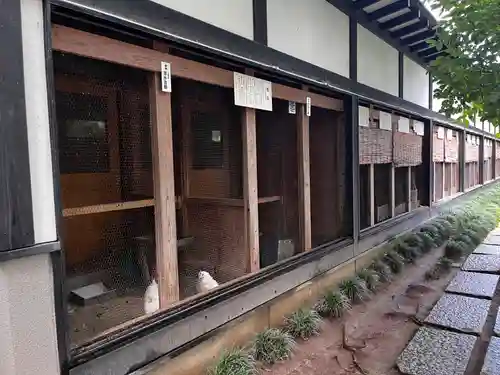 彌彦神社(新潟県)